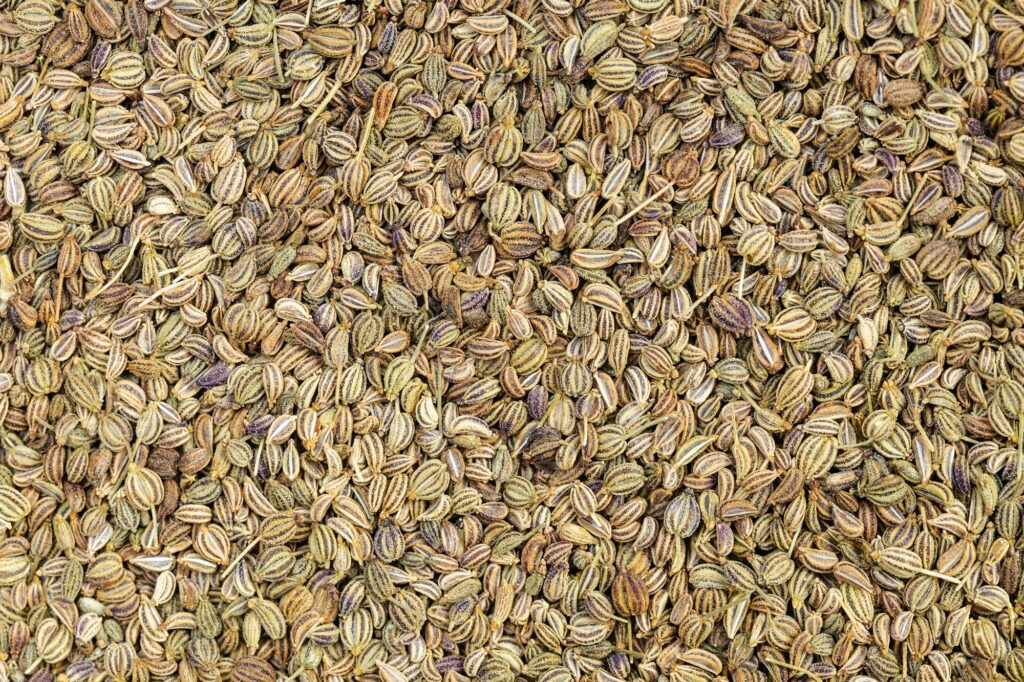 background - many dried Ajwain seeds