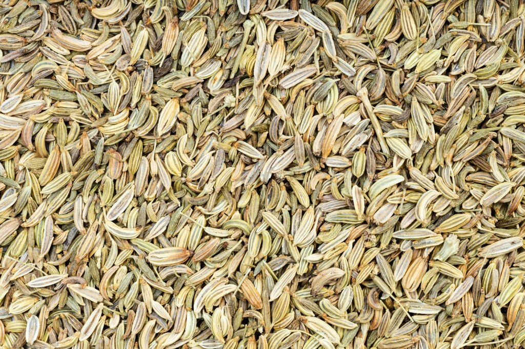 background - many dried fennel seeds